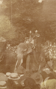 222670 Afbeelding van een bereden olifant tijdens de maskeradeoptocht met als thema Ichnaton, ter gelegenheid van het ...